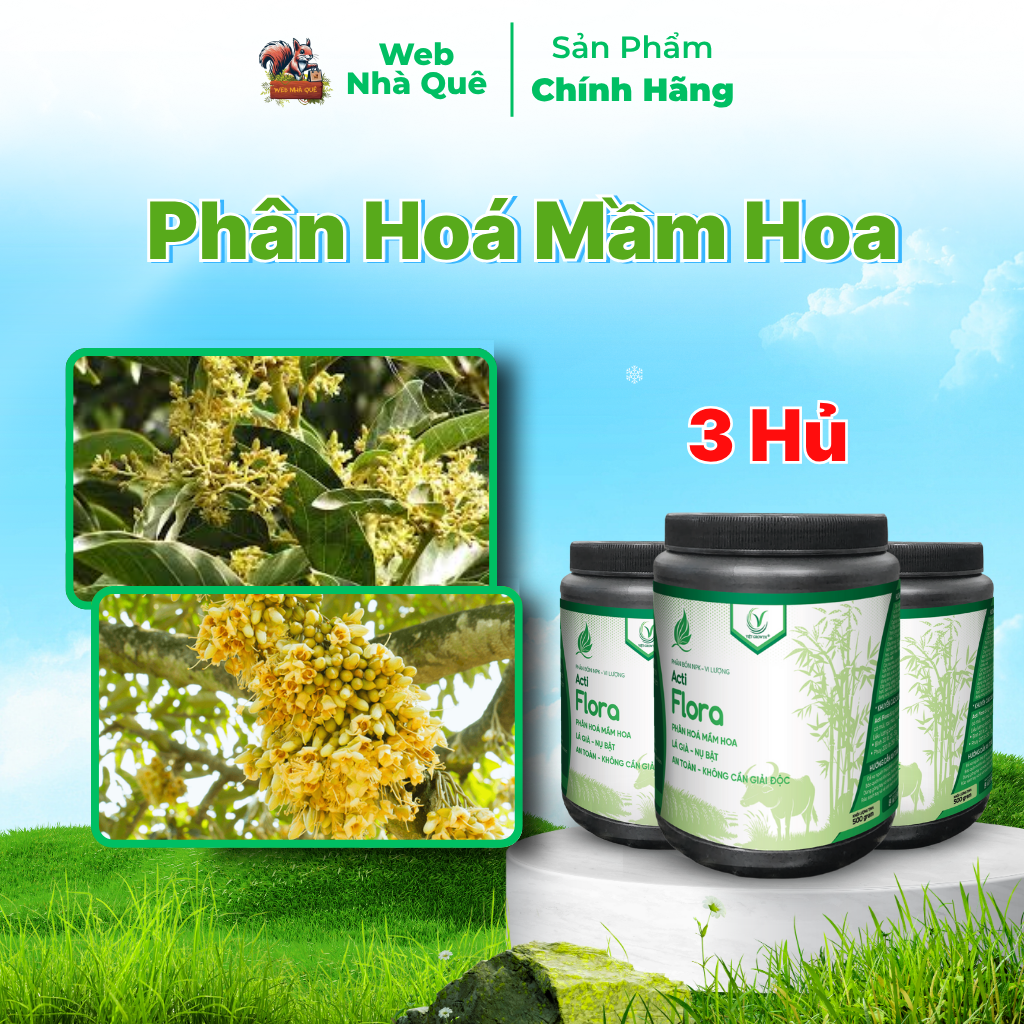 Combo 3 Hũ Phân Bón Lá Acti Flora Thúc Đẩy Phân Hoá Mầm Hoa, Lá Già Nhanh (Hũ 500g Pha 400 Lít)