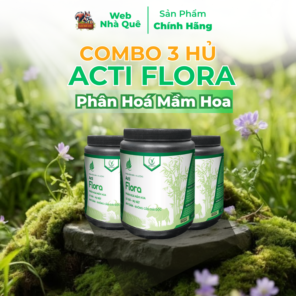 Combo 3 Hũ Phân Bón Lá Acti Flora Thúc Đẩy Phân Hoá Mầm Hoa, Lá Già Nhanh (Hũ 500g Pha 400 Lít)