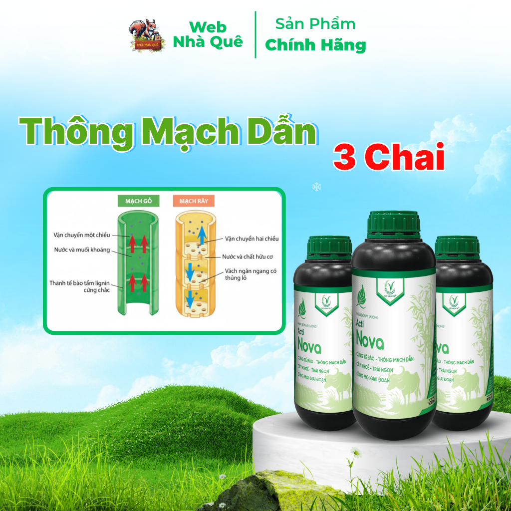 Combo 3 Hũ Phân Bón Lá Acti Nova Tăng Khả Năng Vận Chuyển Dinh Dưỡng Cho Cây Trồng, Giúp Trái Lớn Nhanh, Cây Khoẻ