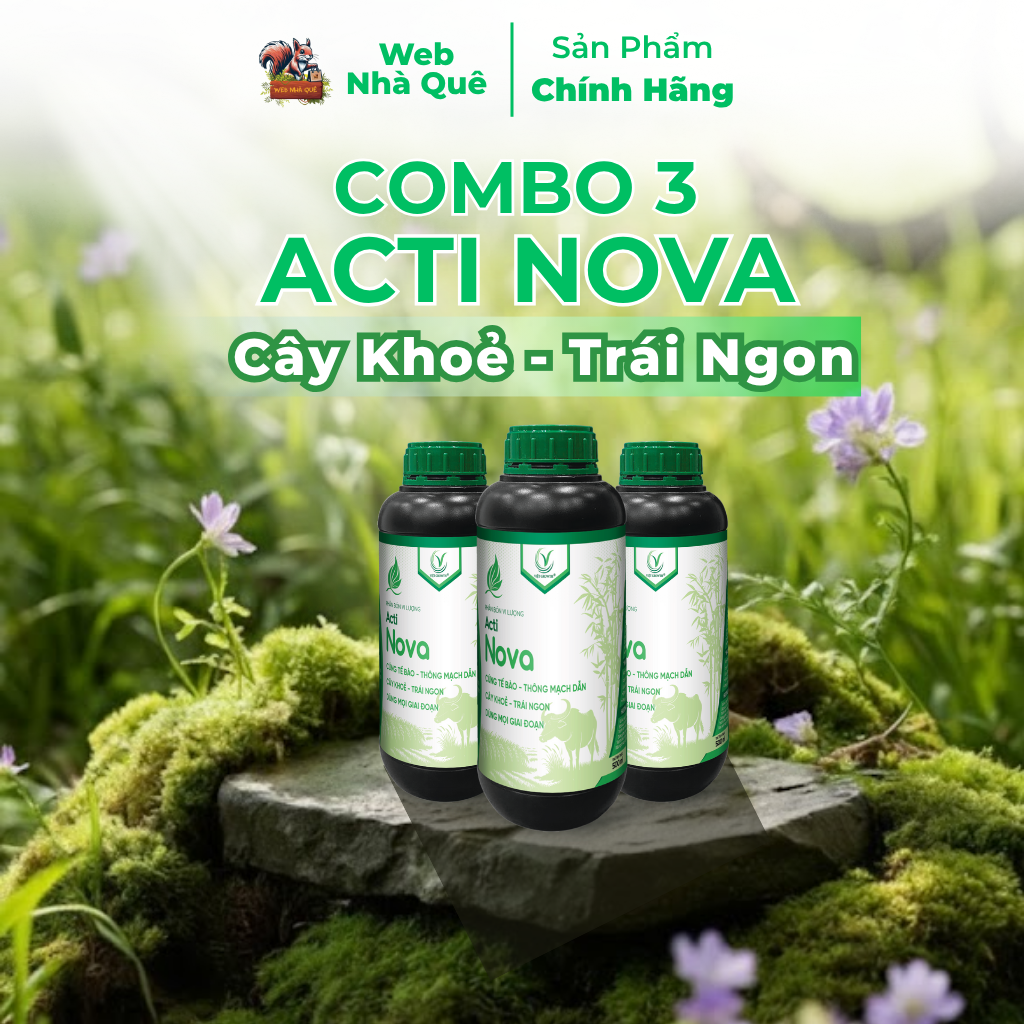 Combo 3 Hũ Phân Bón Lá Acti Nova Tăng Khả Năng Vận Chuyển Dinh Dưỡng Cho Cây Trồng, Giúp Trái Lớn Nhanh, Cây Khoẻ