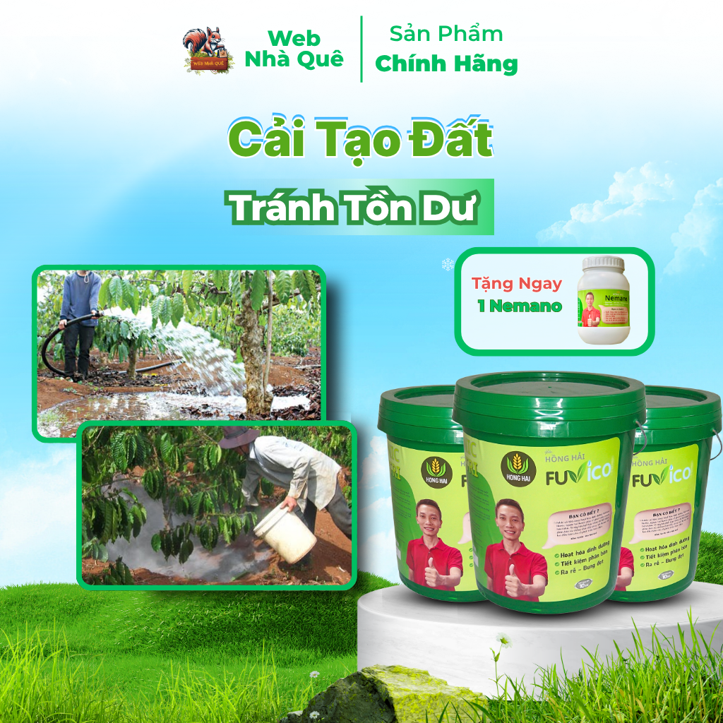 Sản phẩm FUVICO WEB NHÀ QUÊ