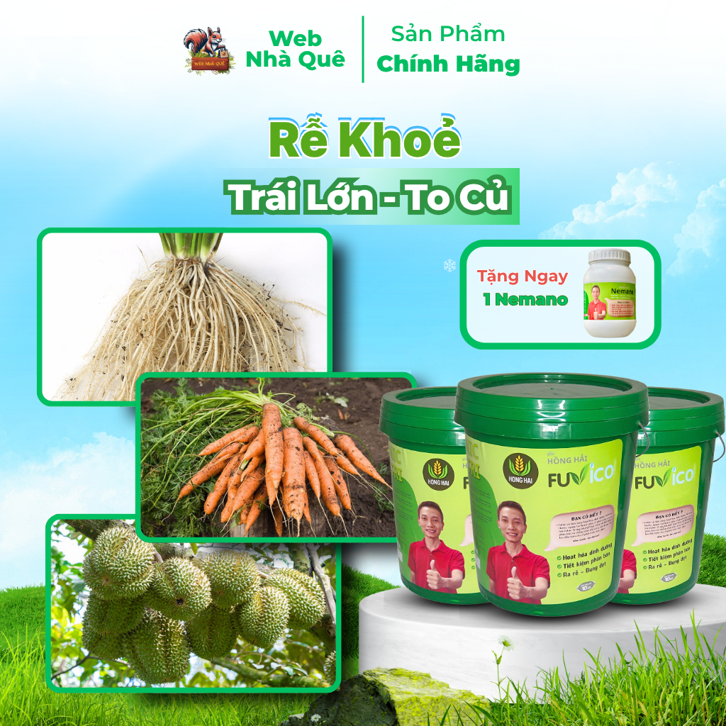 Sản phẩm FUVICO WEB NHÀ QUÊ