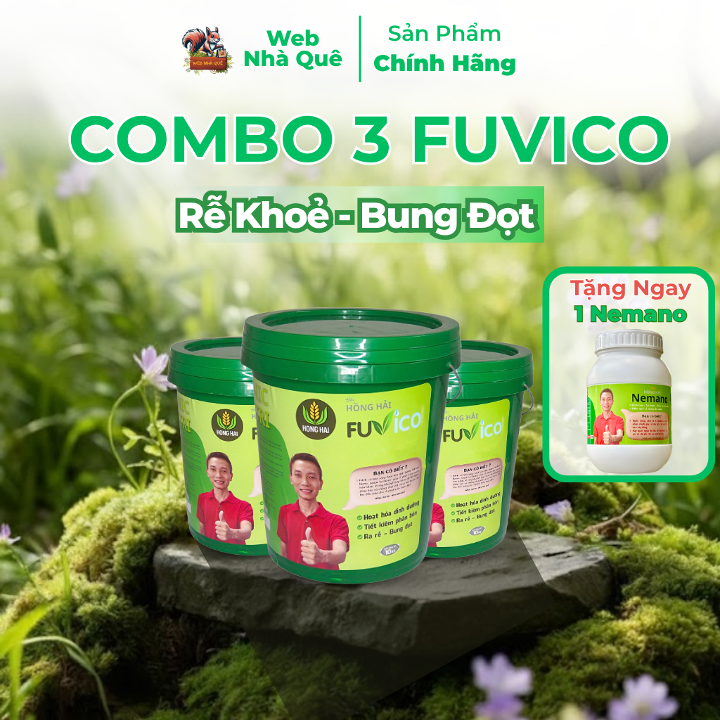 Sản phẩm FUVICO WEB NHÀ QUÊ