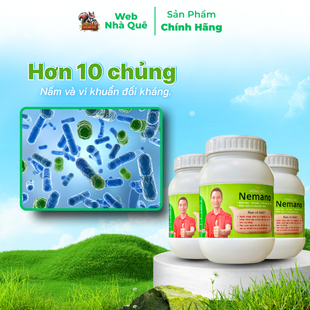 Sản phẩm NEMANO WEB NHÀ QUÊ