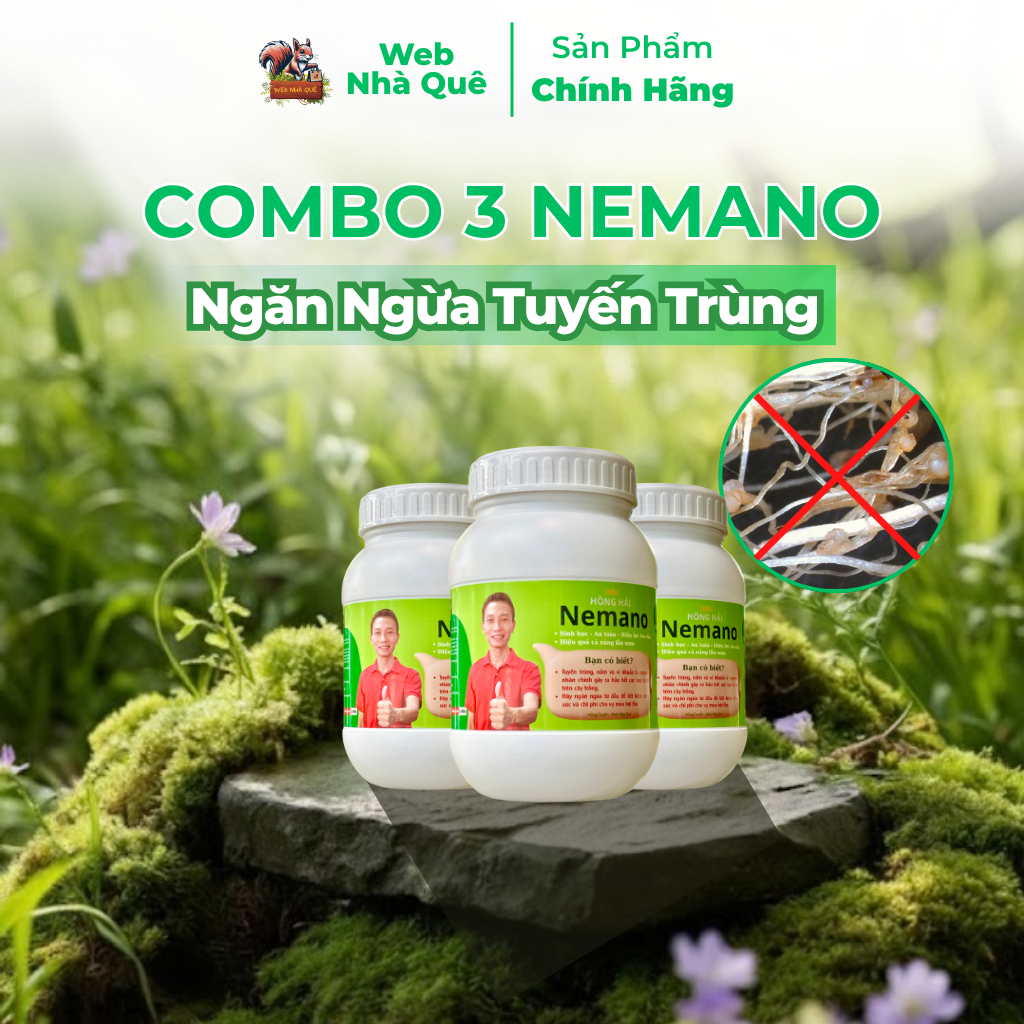 Sản phẩm NEMANO WEB NHÀ QUÊ