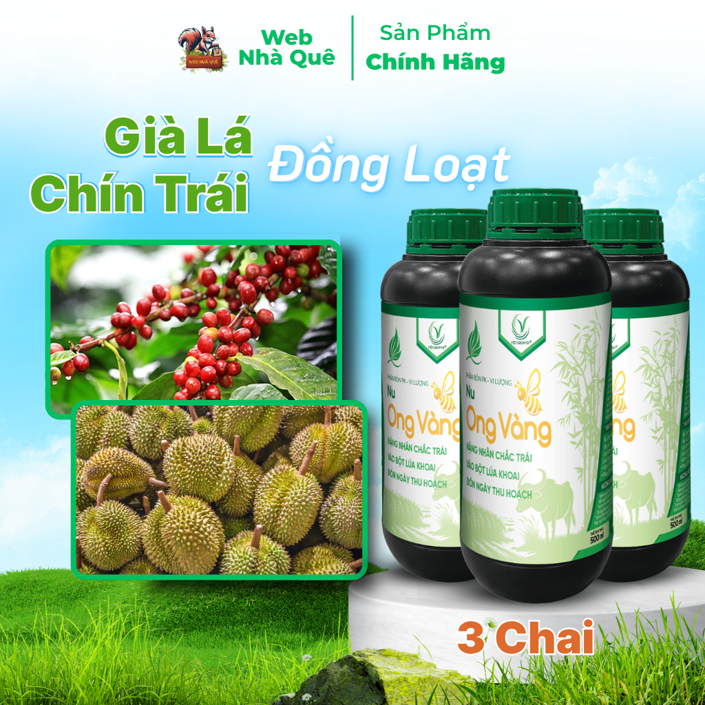 Combo 3 Hủ Phân Bón Lá Nu Ong Vàng Bổ Sung Lân, Kali, Bo Giúp Cây Trồng Nuôi Trái, Nặng Nhân