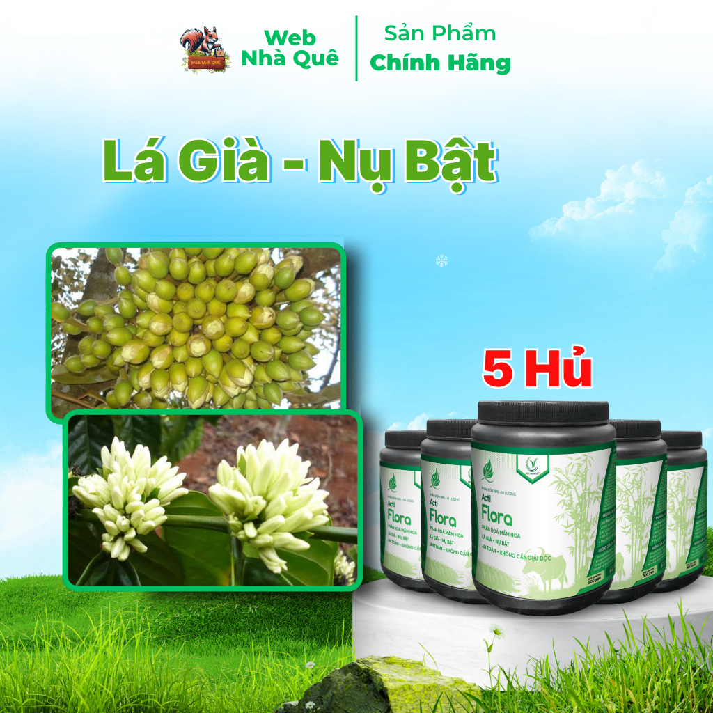 Combo 5 Hũ Phân Bón Lá Acti Flora Tặng 1 Nu Bo Xanh Extra 250ml