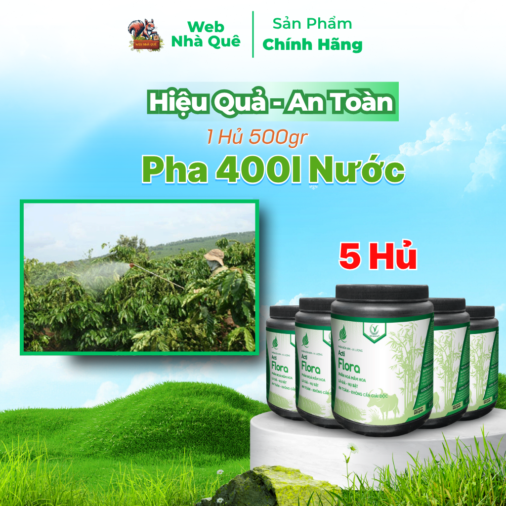 Combo 5 Hũ Phân Bón Lá Acti Flora Tặng 1 Nu Bo Xanh Extra 250ml