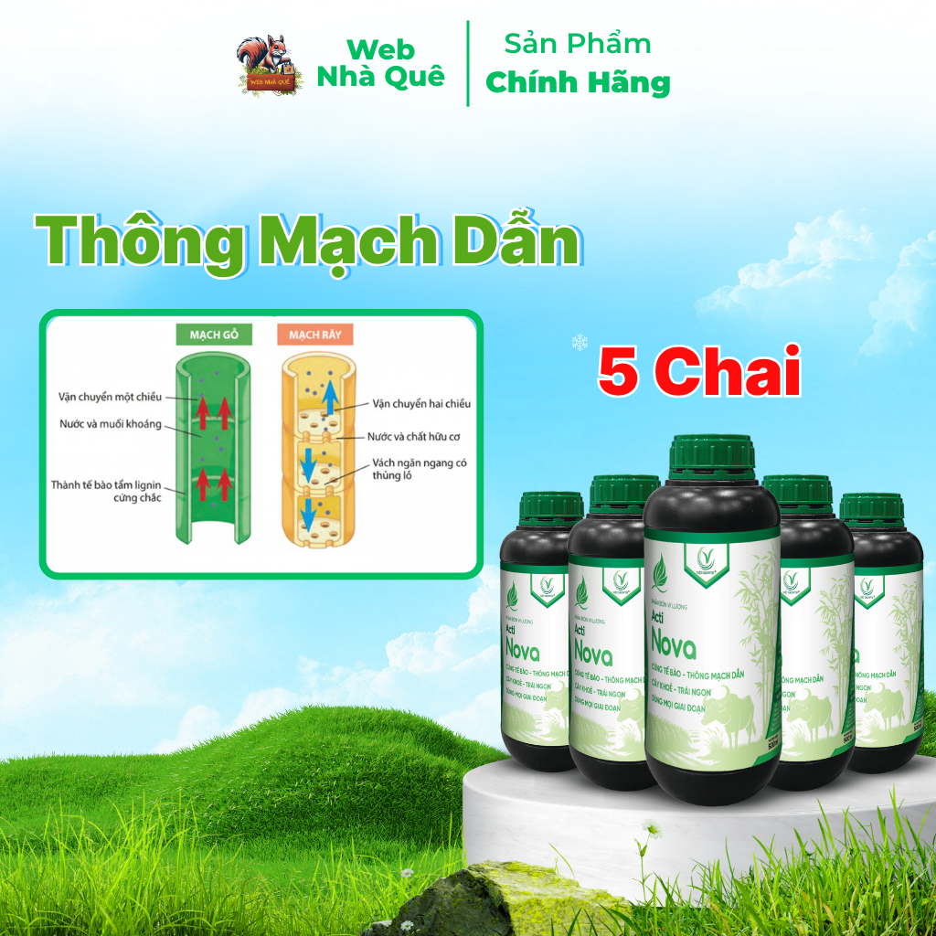 Combo 10 Hũ Phân Bón Lá Acti Nova Tặng 3 Nu Bo Xanh Extra 250ml