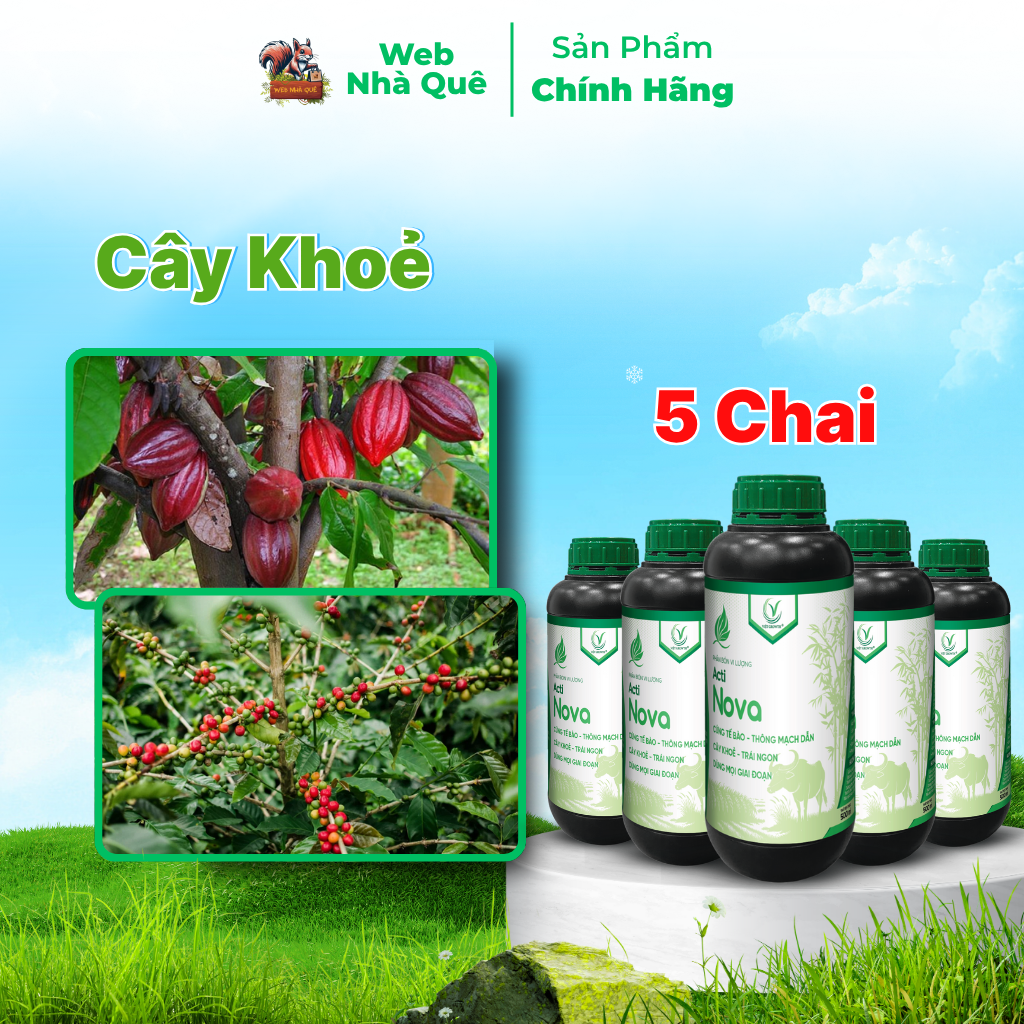 Combo 10 Hũ Phân Bón Lá Acti Nova Tặng 3 Nu Bo Xanh Extra 250ml