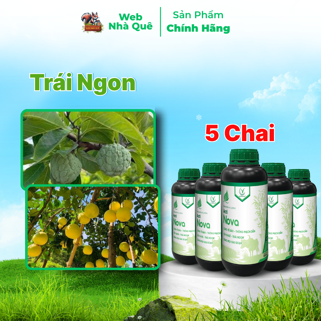 Combo 10 Hũ Phân Bón Lá Acti Nova Tặng 3 Nu Bo Xanh Extra 250ml