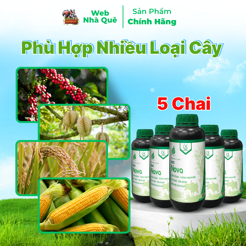 Combo 10 Hũ Phân Bón Lá Acti Nova Tặng 3 Nu Bo Xanh Extra 250ml