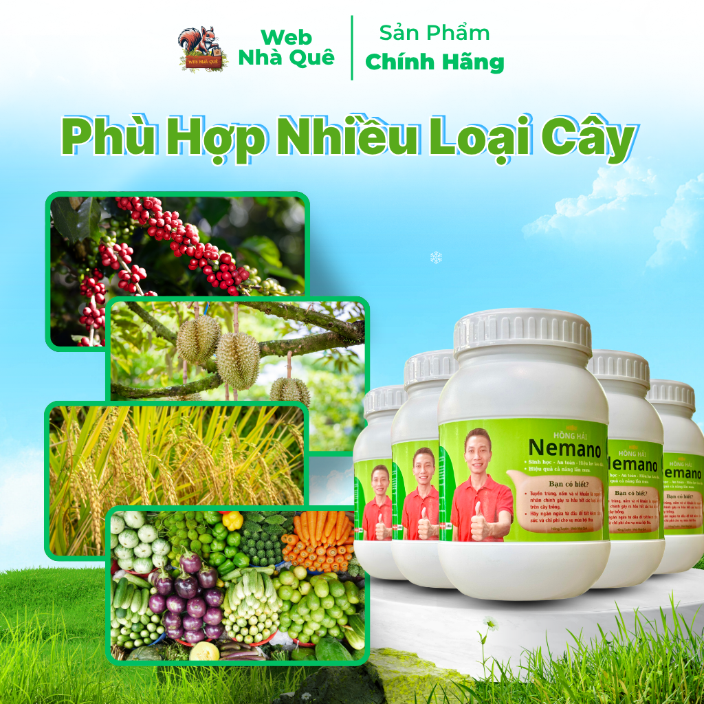 Sản phẩm NEMANO WEB NHÀ QUÊ