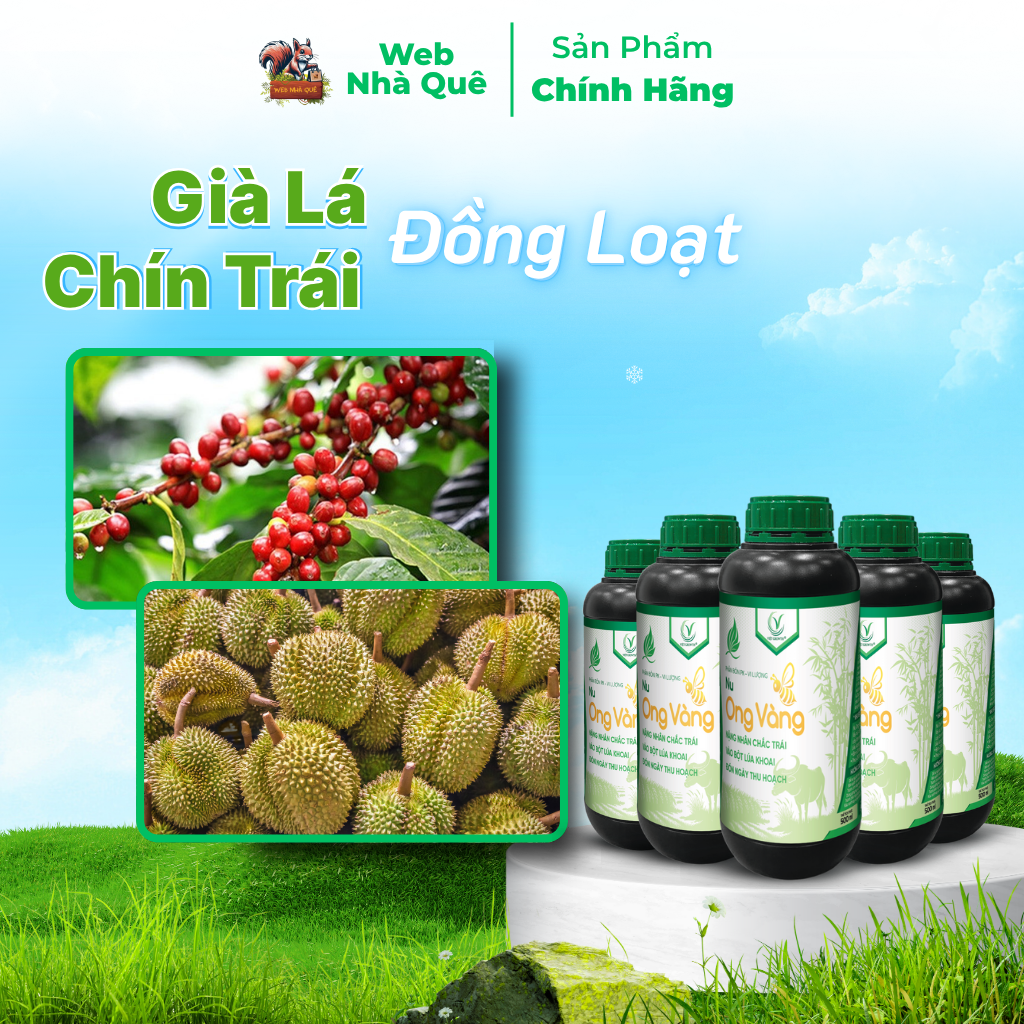 Combo 10 Hủ Phân Bón Lá Nu Ong Vàng Bổ Sung Lân, Kali, Bo Giúp Cây Trồng Nuôi Trái, Nặng Nhân