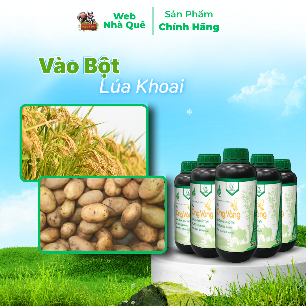 Combo 10 Hủ Phân Bón Lá Nu Ong Vàng Bổ Sung Lân, Kali, Bo Giúp Cây Trồng Nuôi Trái, Nặng Nhân