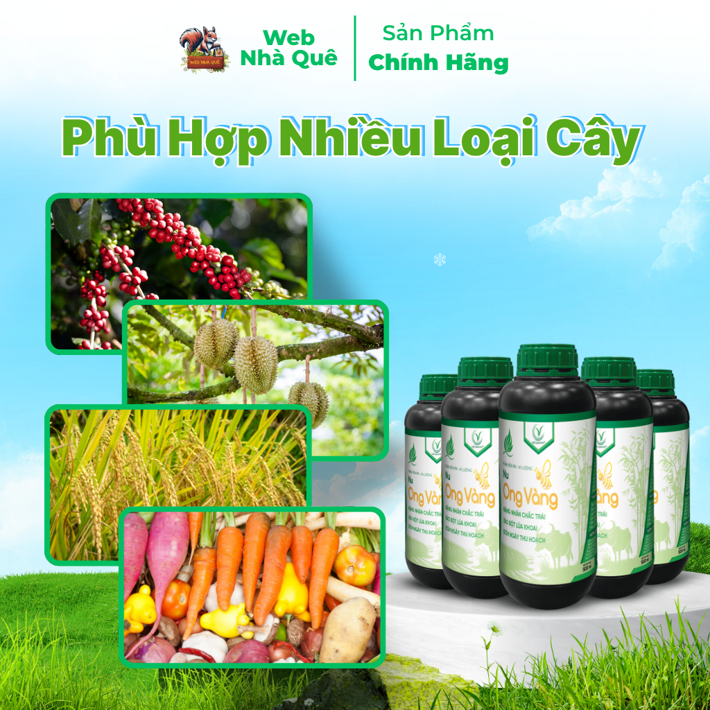 Combo 10 Hủ Phân Bón Lá Nu Ong Vàng Bổ Sung Lân, Kali, Bo Giúp Cây Trồng Nuôi Trái, Nặng Nhân