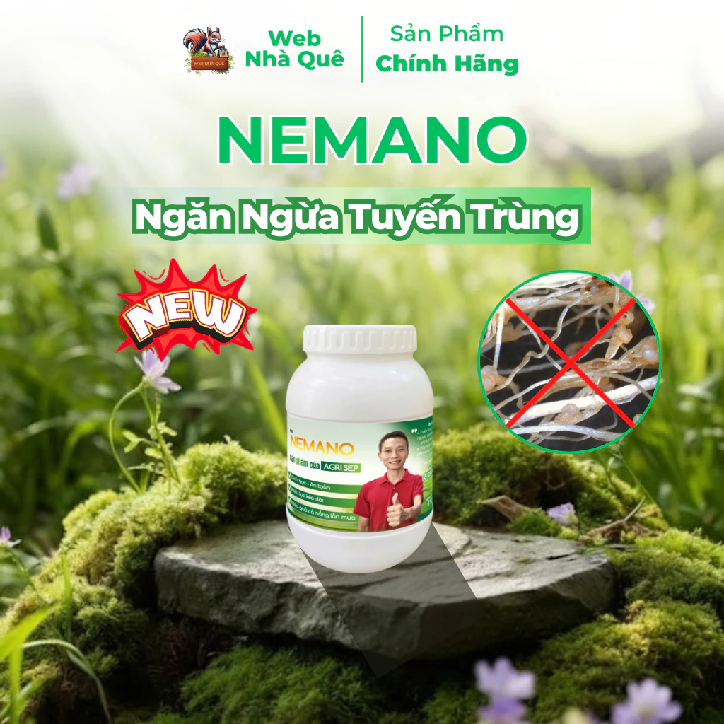Sản phẩm NEMANO WEB NHÀ QUÊ
