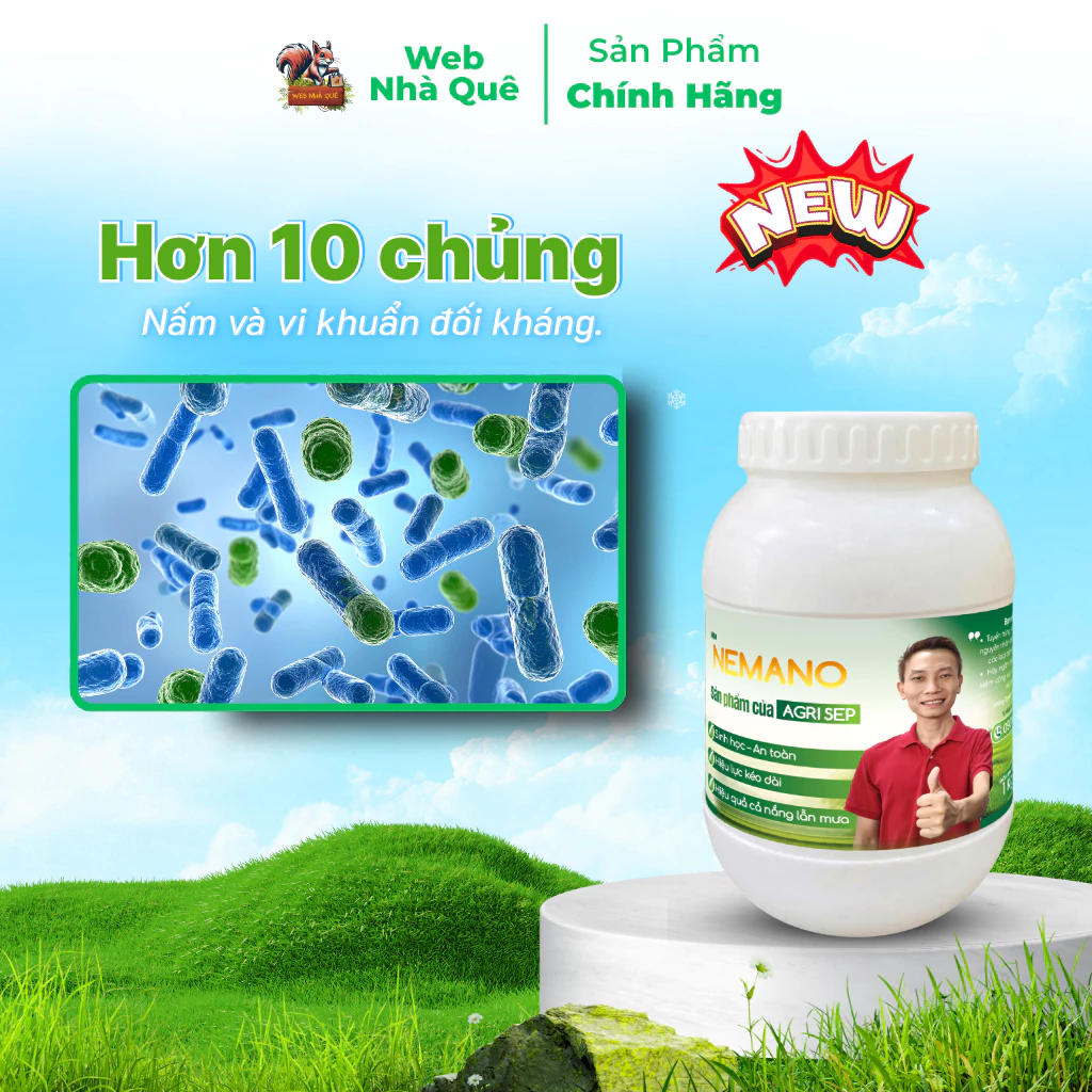 Sản phẩm NEMANO WEB NHÀ QUÊ