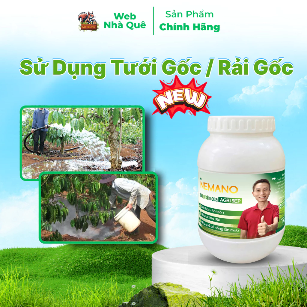 Sản phẩm NEMANO WEB NHÀ QUÊ